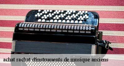 achat rachat d'instruments de musique anciens   31470