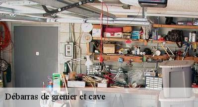 Débarras de grenier et cave  31470