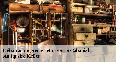 Débarras de grenier et cave  31460