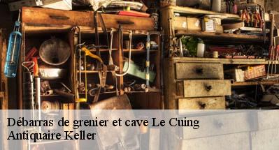 Débarras de grenier et cave  31210