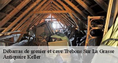 Débarras de grenier et cave  31290