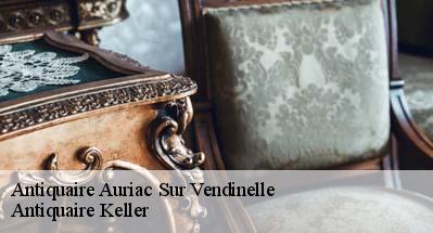 Antiquaire  31460