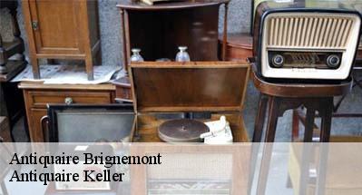 Antiquaire  31480