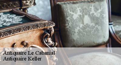 Antiquaire  31460