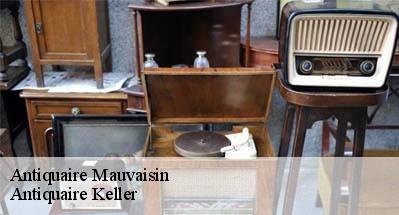 Antiquaire  31190