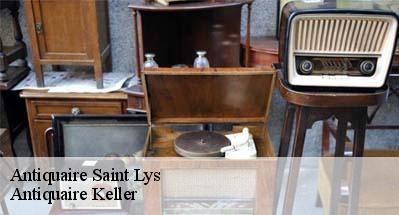 Antiquaire  31470