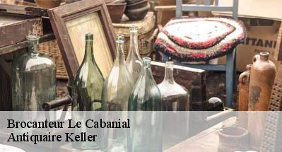 Brocanteur  31460