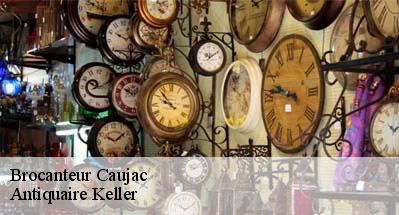 Brocanteur  31190
