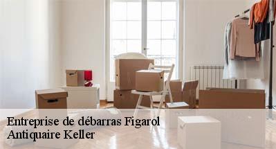 Entreprise de débarras  31260