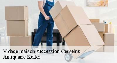 Vidage maison succession  01090