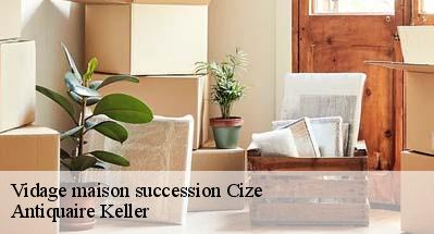 Vidage maison succession  01250
