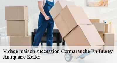 Vidage maison succession  01110