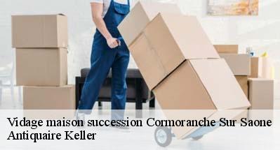 Vidage maison succession  01290