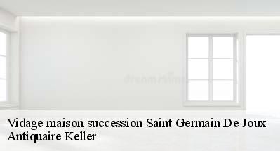 Vidage maison succession  01130