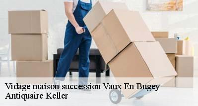Vidage maison succession  01150