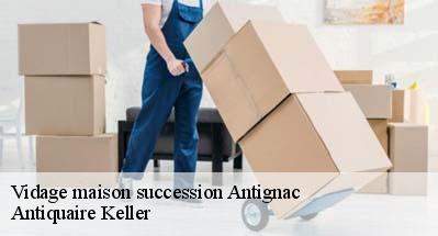 Vidage maison succession  31110