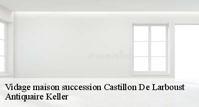 Vidage maison succession  31110