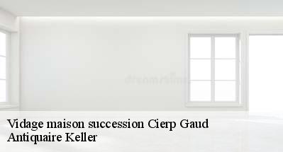 Vidage maison succession  31440