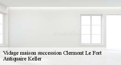 Vidage maison succession  31810