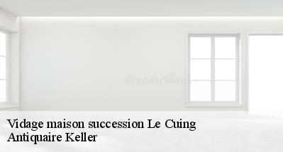 Vidage maison succession  31210