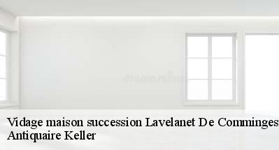 Vidage maison succession  31220
