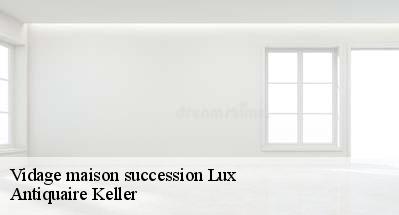 Vidage maison succession  31290