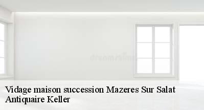 Vidage maison succession  31260