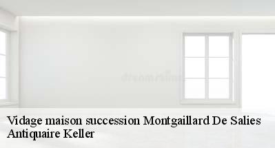 Vidage maison succession  31260