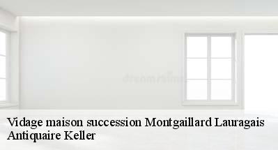 Vidage maison succession  31290