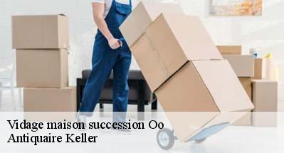 Vidage maison succession  31110