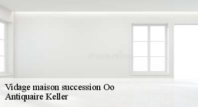Vidage maison succession  31110