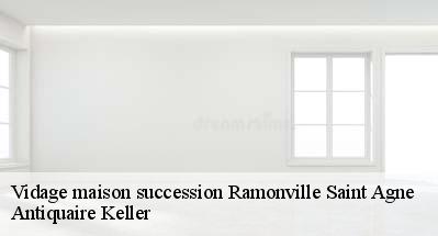 Vidage maison succession  31520