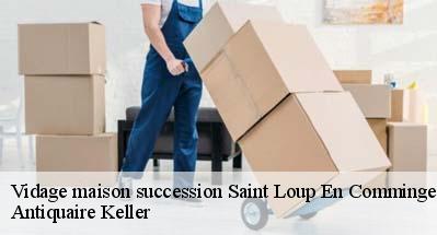 Vidage maison succession  31350