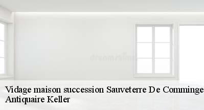 Vidage maison succession  31510