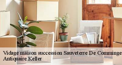 Vidage maison succession  31510