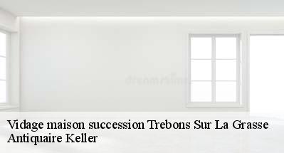 Vidage maison succession  31290