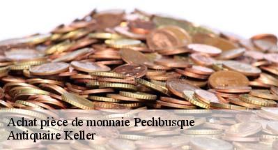 Achat pièce de monnaie  31320